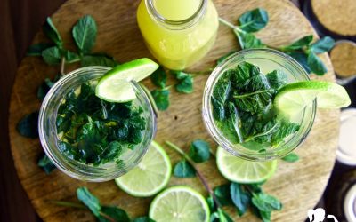 Matcha Mojito